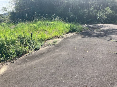 【前面道路含む現地写真】 | 洲本市五色町都志　売土地　100万円