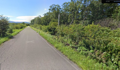 【外観】 | 北海道川上郡弟子屈町　山林