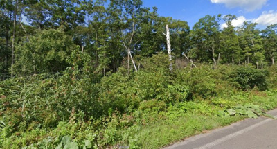 【周辺】 | 北海道川上郡弟子屈町　山林