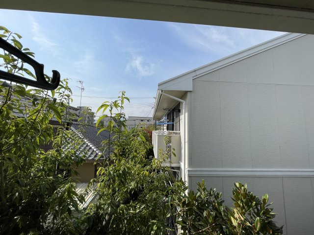 【展望】 | パセオ仁川