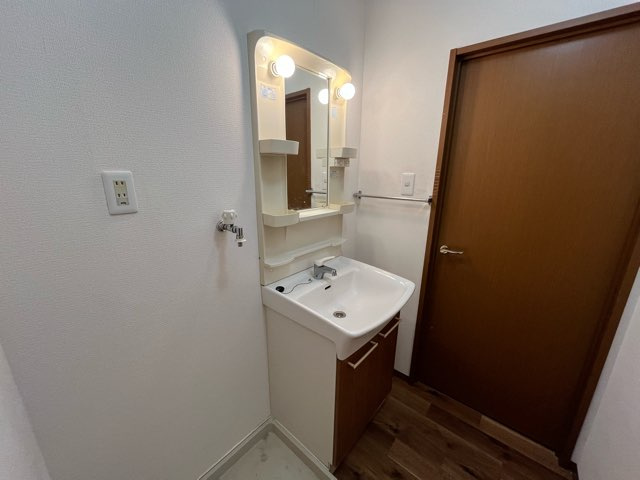 ヴィラウィッシュＢの洗面所