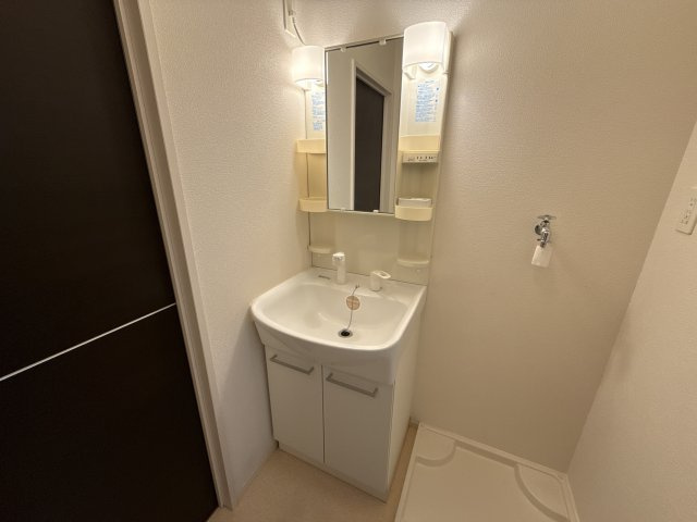 フェリア佐用岡の洗面所