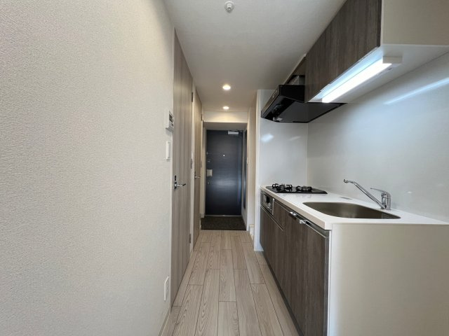 プレサンス大国町ラヴェニールの玄関