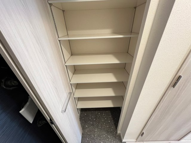 プレサンス大国町ラヴェニールの収納