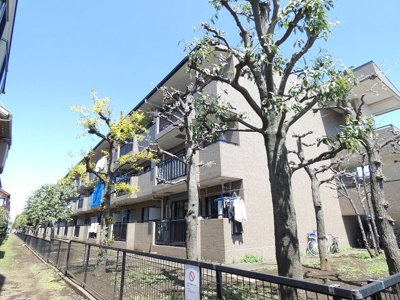 ★3階建て　ファミリー向けマンション★