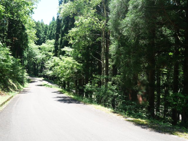 荘川ビレッジ④