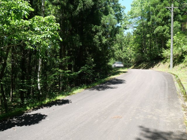 荘川ビレッジ④の前面道路含む現地写真