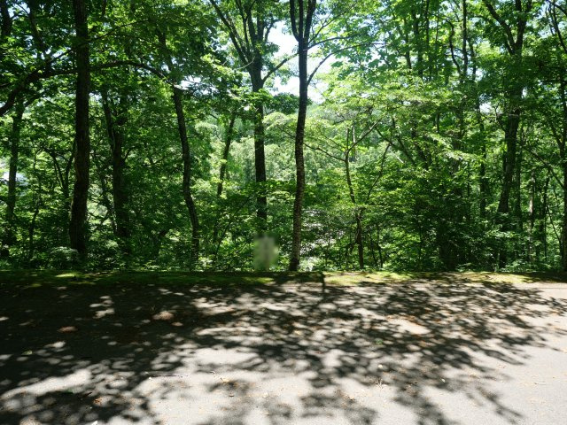 荘川ビレッジ⑤