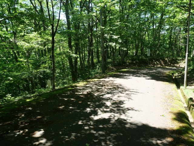 荘川ビレッジ⑤の前面道路含む現地写真