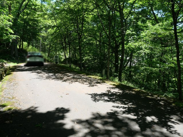 荘川ビレッジ⑤の前面道路含む現地写真