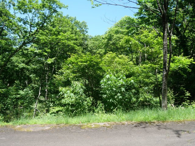 荘川ビレッジ⑥