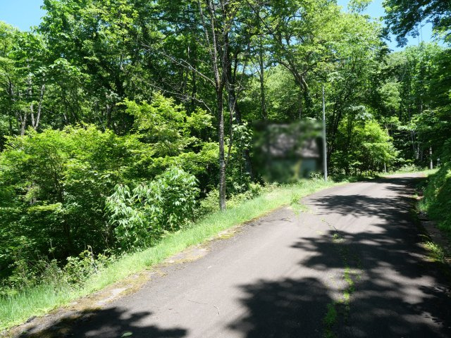 荘川ビレッジ⑥の前面道路含む現地写真