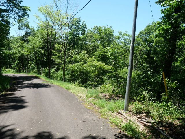 荘川ビレッジ⑥の前面道路含む現地写真