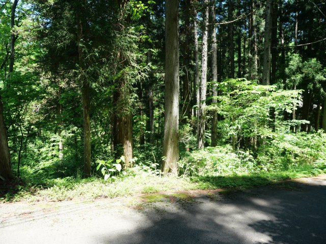 荘川ビレッジ⑦の外観