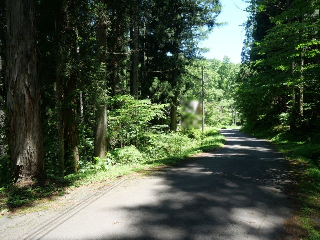 荘川ビレッジ⑦の前面道路含む現地写真