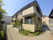 ティアレの画像