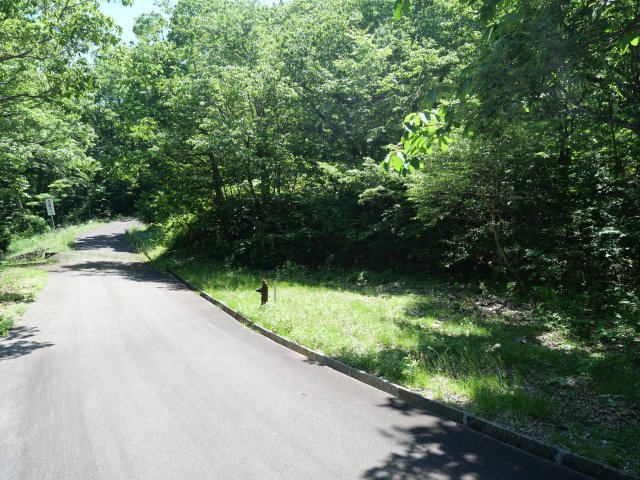 荘川ビレッジ⑧の前面道路含む現地写真