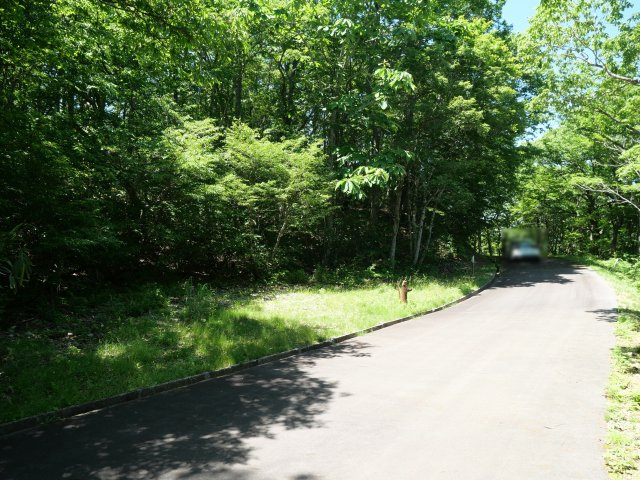 荘川ビレッジ⑧の前面道路含む現地写真
