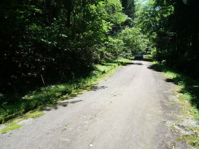 荘川ビレッジ⑨の前面道路含む現地写真