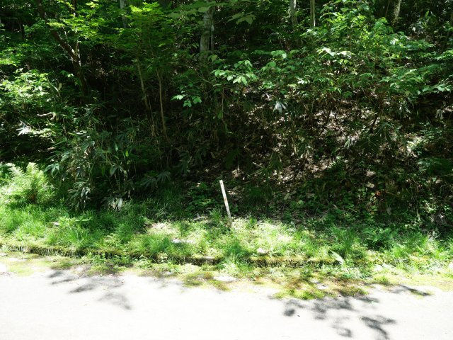 荘川ビレッジ⑨の外観