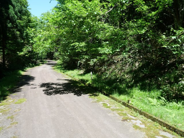 荘川ビレッジ⑨の前面道路含む現地写真