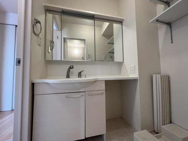 サニーウェルの独立洗面台|高崎、前橋のお部屋探しはエンドスケープまで！お客様の理想お聞かせ下さい♪