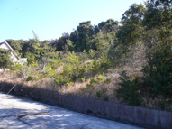 五色町鳥飼中売土地の画像