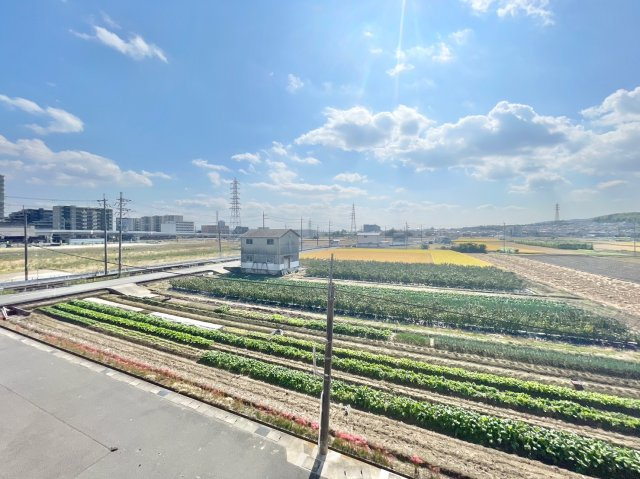 グローバル洛西口 3階の展望