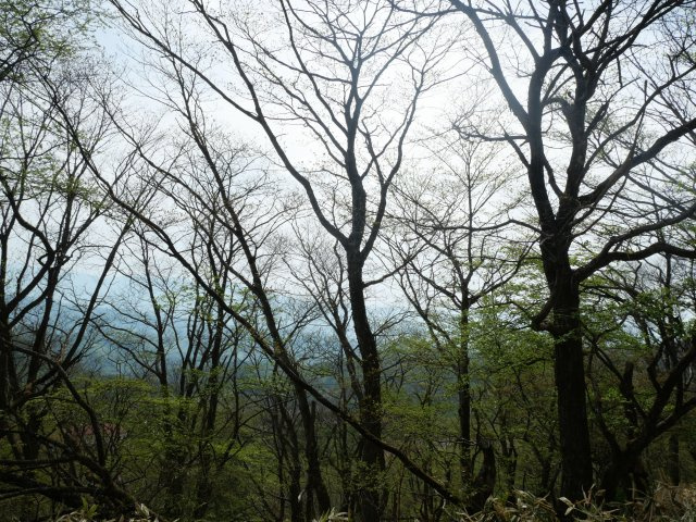 佐久高原荒船・草笛別荘地①のその他|眺望