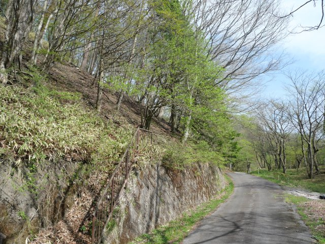 佐久高原荒船・草笛別荘地②の前面道路含む現地写真