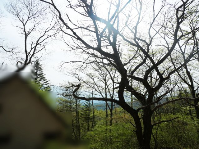 佐久高原荒船・草笛別荘地②のその他|眺望