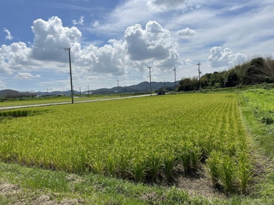 【外観】 | 加西市中野町　用地　1