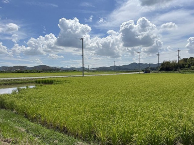 【外観】 | 加西市中野町　用地　2