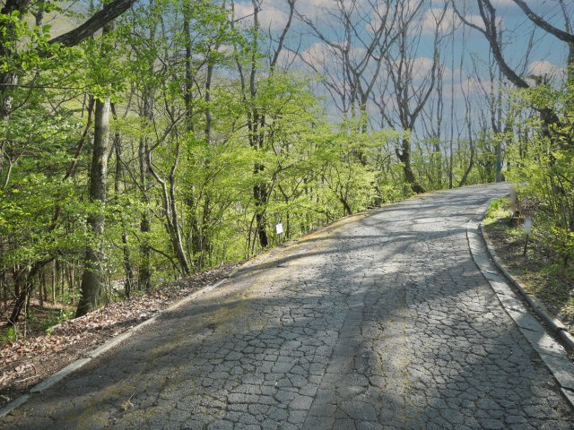 三笠パーク①の前面道路含む現地写真