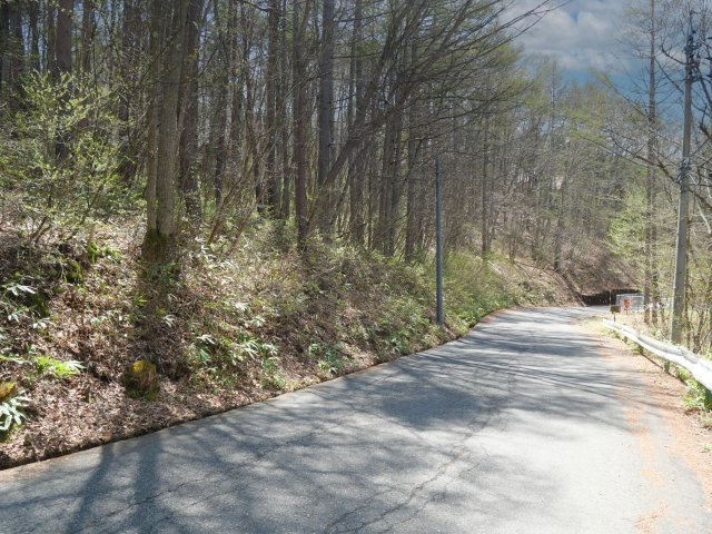 清水高原保険保養地①の前面道路含む現地写真