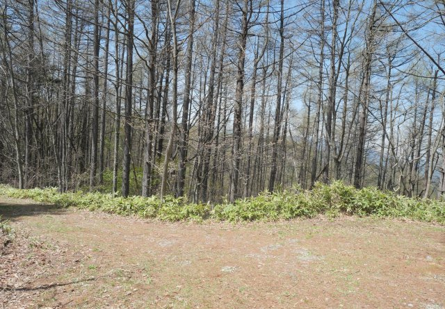 清水高原保険保養地②の外観