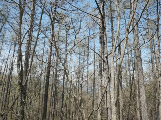 清水高原保険保養地②のその他|眺望