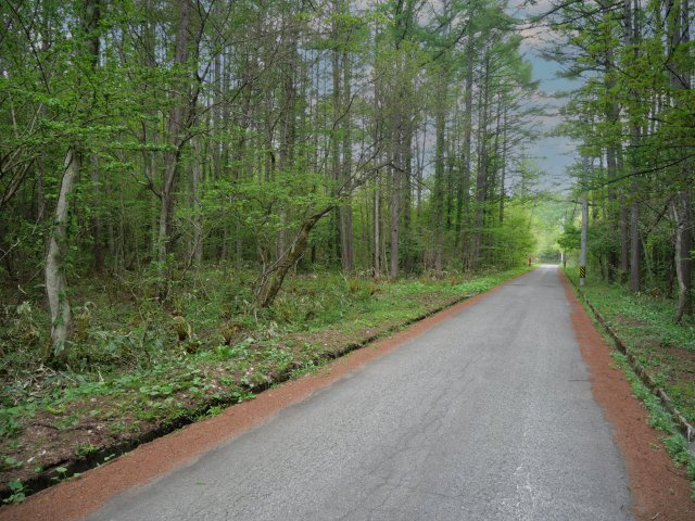 飯綱高原つつじが原（サニーハイランド）①の前面道路含む現地写真