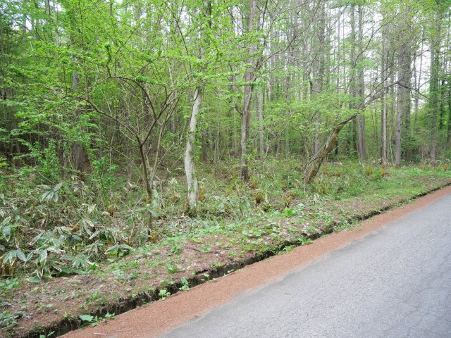 飯綱高原つつじが原（サニーハイランド）①の外観