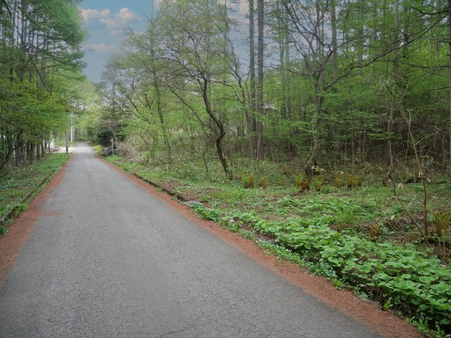 飯綱高原つつじが原（サニーハイランド）①の前面道路含む現地写真