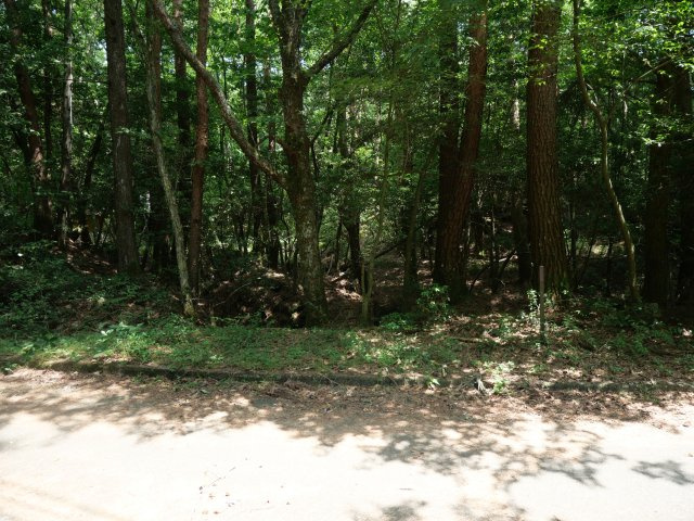 紅葉台センチュリーヴィラ③