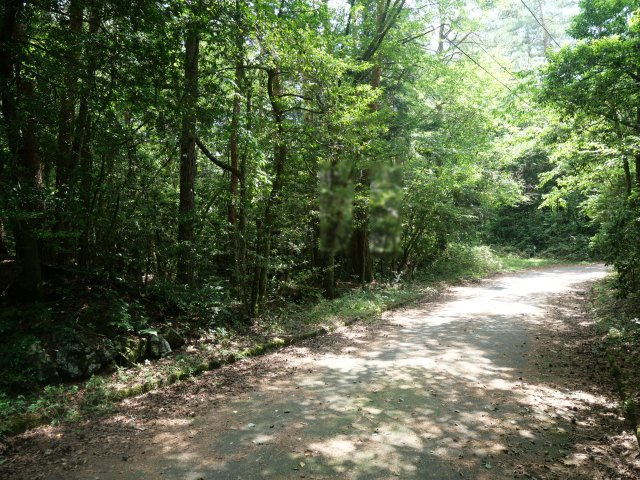 紅葉台センチュリーヴィラ③の前面道路含む現地写真