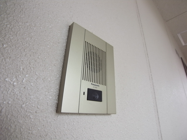 シュロスフォンコウナンのその他