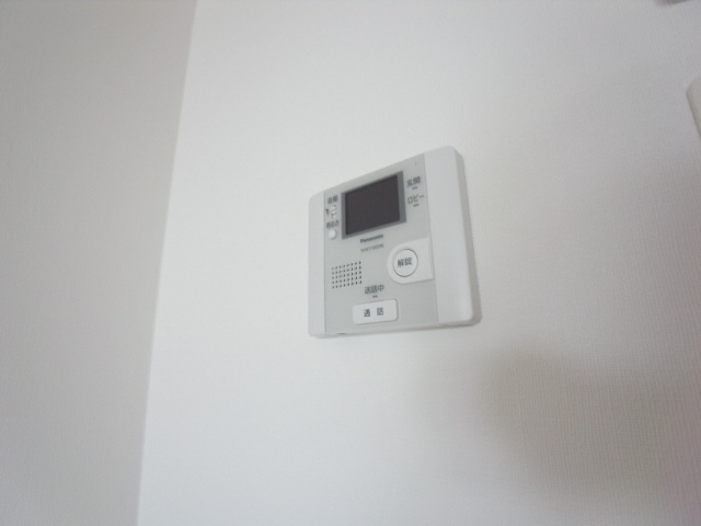 シュロスフォンコウナンのその他