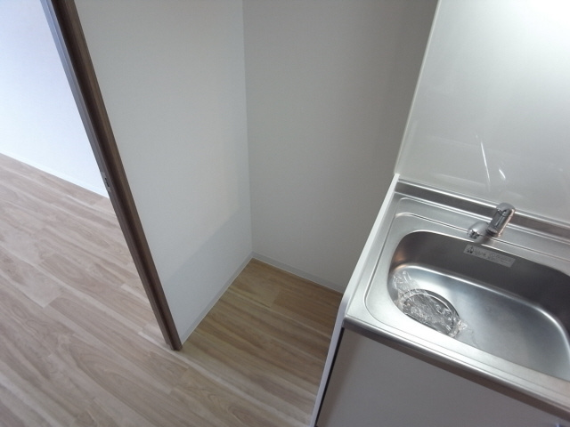 シュロスフォンコウナンのその他