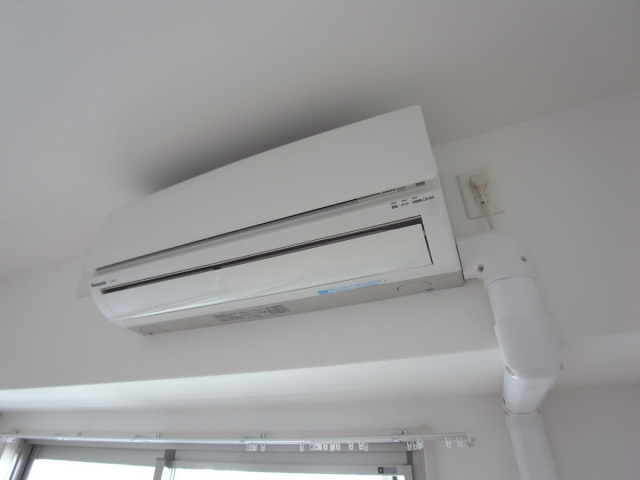 シュロスフォンコウナンのその他