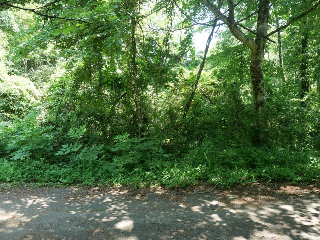 富士桜高原別荘地①の外観