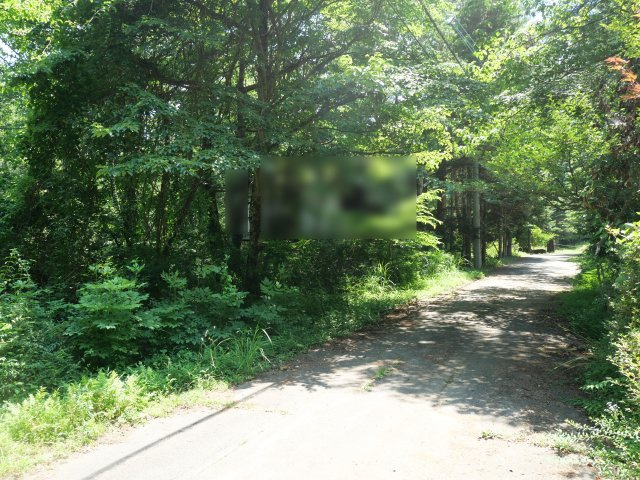 富士桜高原別荘地①の前面道路含む現地写真