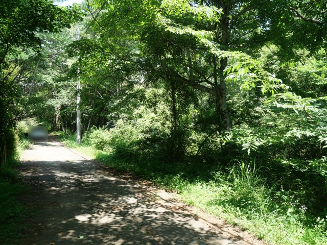 富士桜高原別荘地①の前面道路含む現地写真