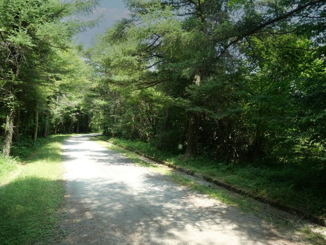 富士ヶ嶺高原別荘地　富士ドクタービレッジ②の前面道路含む現地写真